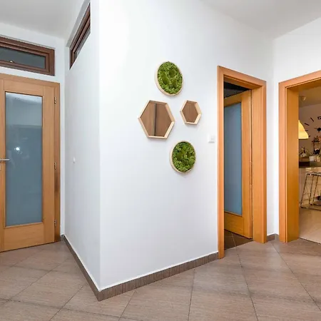 Dum U Lazni Federer - Rodinny Dum V Srdci Trebone Apartment *
